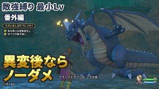 【無傷】ブラックドラゴン  すべての敵が強い・低レベル (異変後 極限)　種なし【ドラクエ11S】