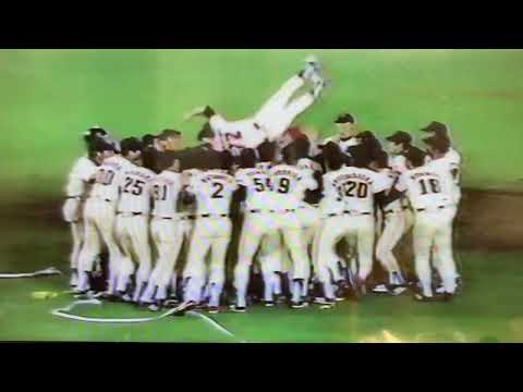 1983年巨人リーグ優勝試合　巨人×ヤクルト優勝決定場面