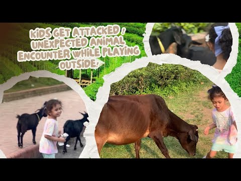 Titly Get Attacked in Sylhet | Unexpected Animal Encounter While Playing | caught on camera !!!