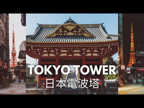 WHAT TO DO NEAR THE TOKYO TOWER 🗼(and beyond)