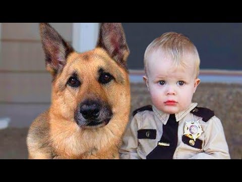 German Shepherd and Baby Compilation