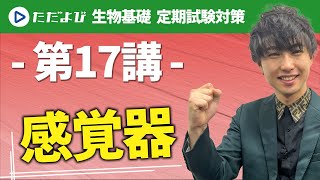 【生物 定期試験対策】感覚器*