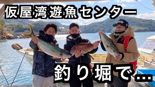 【餌釣り】素人でも簡単に青物、鯛が釣れちゃう！？【仮屋湾遊魚センター】