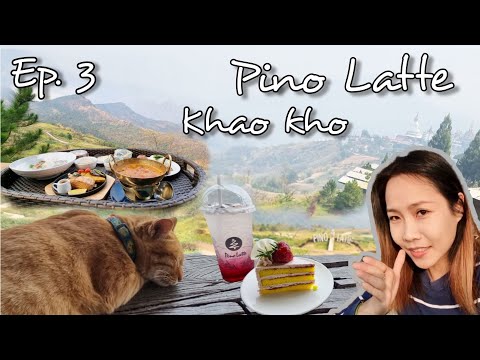 Pino Latte Khao Kho ( พีโน่ ลาเต้ เขาค้อ )