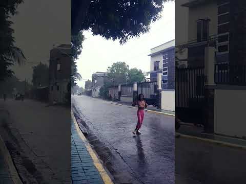 #music Rain #shortvideo #garden #youtube #nature #rain #raining