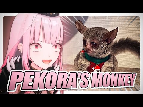 Calli is very curious about Pekora's monkey | Hololive EN Clip