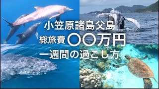 【総集編】旅費総額大公開！小笠原諸島父島7日間の旅 ★一週間の過ごし方おすすめアクティビティプラン これから行かれる方の計画のご参考になりますように！