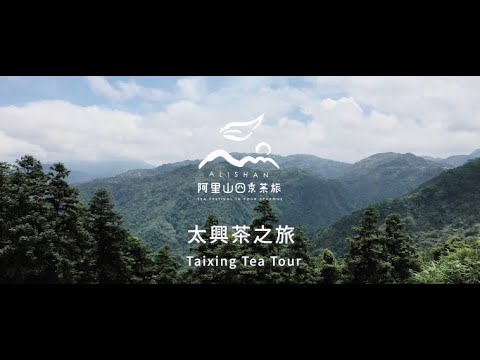 2021阿里山春季線上茶旅-太興 茶之旅-Alishan Tea Festival In Four Seasons