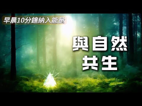 【提升能量篇】鏈接自然的能量|早晨與自然共生|開啓美好的一天|提升頻率