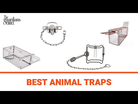 Top 10 Best Animal Traps 2022 | Video Review | The Guardians Choice