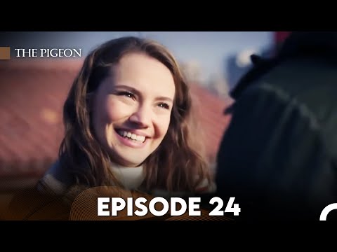 The Pigeon Episode 24 (FULL HD)