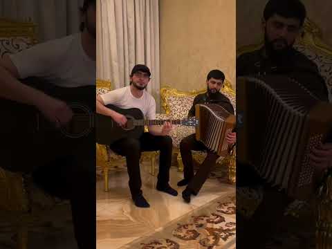 Арсен Алиев - Эти белые розы (Билал Чигаев) 🤍🧸