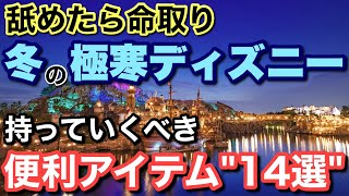 [解説]2024.12月以降冬ディズニー行く方向け舐めたら終わる...忘れたら困る必需品14選！