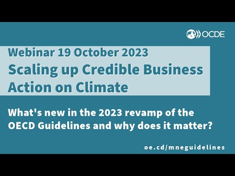 Webinar: Scaling up credible business action on climate