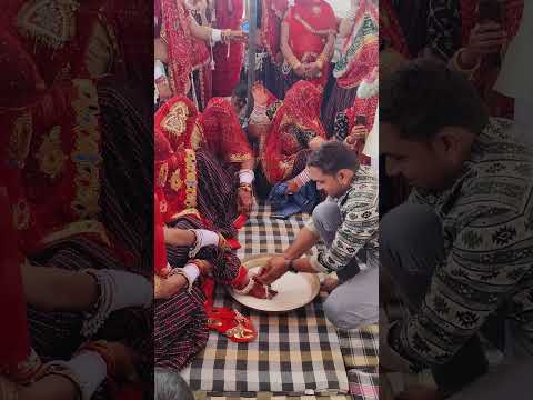 marwadi wedding video/rajasthani trending songs/ #love #new #new #new #new #new #new #new #shorts