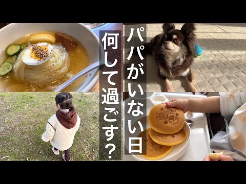 【vlog】👨🏻がいない2日間🏠自宅保育中の2歳5ヶ月娘とママの過ごし方🍃