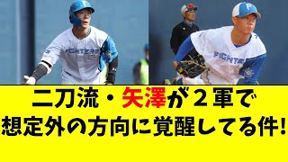 【日ハム】二刀流・矢澤が２軍で想定外の方向に覚醒してる件