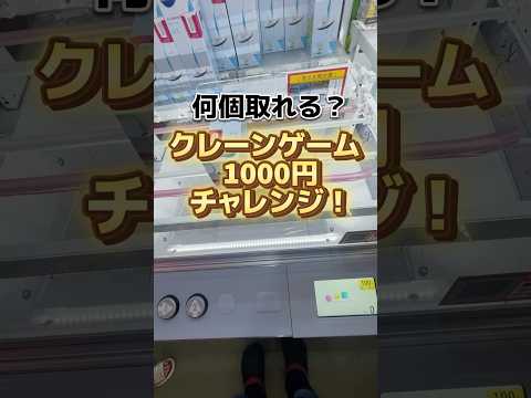 ショッピングモールゲーセンで挑戦！クレーンゲーム1000円チャレンジ！