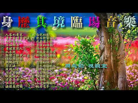 身歷其境臨場音樂 (原聲帶高音質)