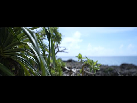 Royal Vacation / SONY FX3 / SIRUI Saturn Anamorphic lens 50mm T2.9