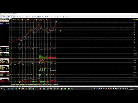 ETF 比個股好 00830 2330 2023/07/21