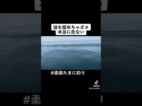 超危険!!波やうねりを見ていたら、、、#海釣り #釣り #船釣り #伊勢湾ジギング