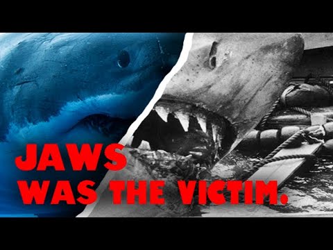 The Shark in Jaws Did Nothing Wrong - An Ecological Video Essay