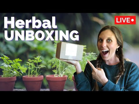 Herbal Unboxing - new goodies from Raw Revelations