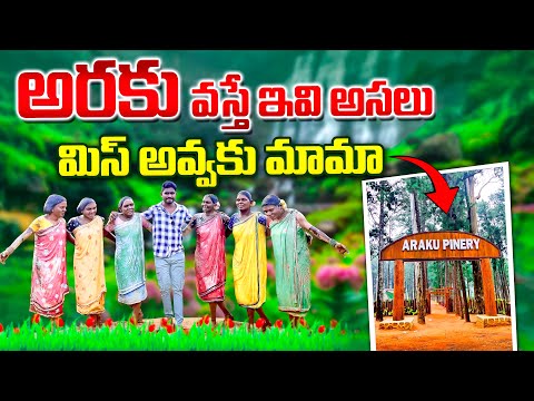 అరకు వస్తే ఇవి మిస్ అవ్వకు మామా | Araku Tourist Places | Araku Pinery & Araku Tribal museum