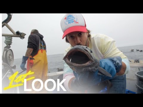 Johnny Bananas and Papa Bananas Go Fishing in Monterey, CA | 1st Look TV