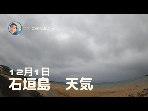 【石垣島天気】12月1日9時ごろ。15秒でわかる今日の石垣島の様子。