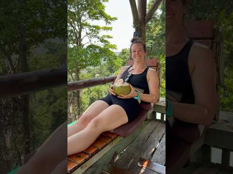 Have a Coconut #coconut #views #thailand #shortsvideo