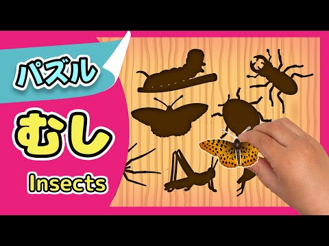 むし| 昆虫パズルで遊ぼう！| レッド キャットリーディング