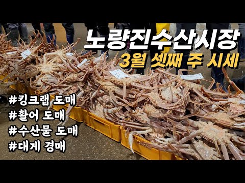 노량진수산시장 시세(3월 셋째 주)킹크랩 도매, 활어 도매, 경매, 수산물 도매