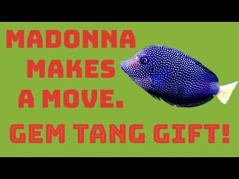 TLC for a $1,000 Fish! | Episode 223