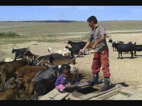 Mongolia Insight 2010