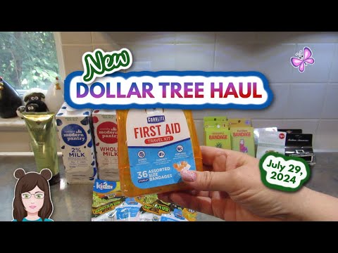 New Dollar Tree Haul From Maryland Stores! Everything I Bought Was $1.25! July 29, 2024