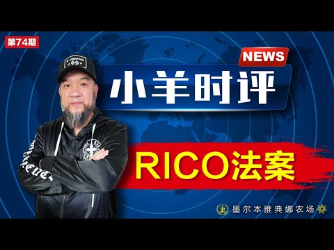 小羊之鼓与呼  第74期  20240130   Rico 法案