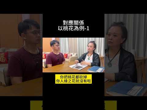 對應關係 以桃花為例 1 #九天神算