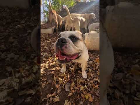 Lucy Lu and Eddie use the tunnels