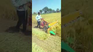 गेहूं और बाजरा gehun kaatne ki machine #agriculture #farming #gehu