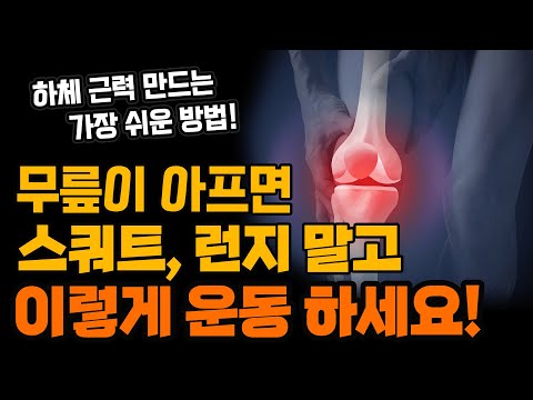 무릎 통증 없이 하체 운동하는 최고의 방법! - 세모핏 #147ㅣ무릎통증 하체운동 맨몸운동 중년운동 노년운동 스트레칭 기초근력 간단운동 다이어트