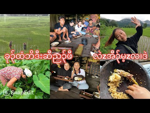 29/8/2024  Eating Karen simple food လု၊်ကှံzသဲးကှံz