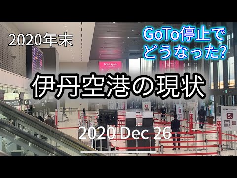 Go To停止後の伊丹空港はどんな感じ?