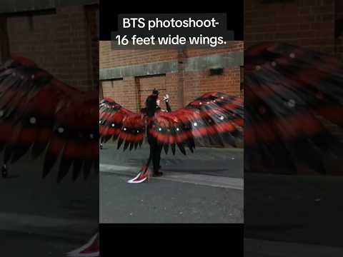 16 feet wide cosplay wings for Husk