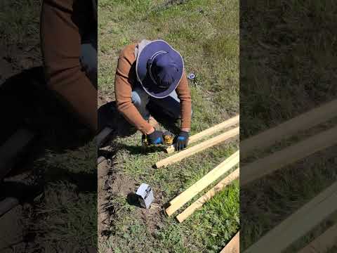 Scraping together a chicken coop!