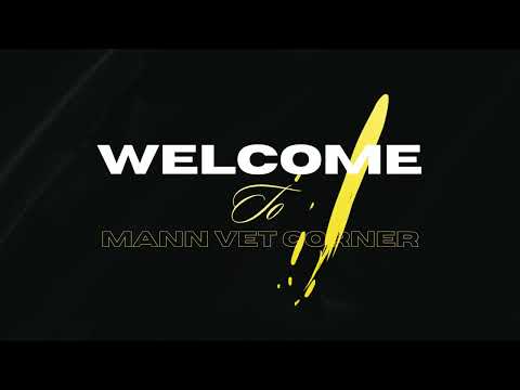 Meet the Animals of Mann Vet Corner 🐾 #mannvetcorner #viralvideo #viralshorts