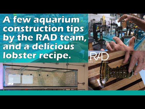 HIGH-END AQUARIUM CONSTRUCTION TIPS, AND A LOBSTER RECIPE BY OUR IN HOUSE CHEF - REEF AQUARIA DESIGN