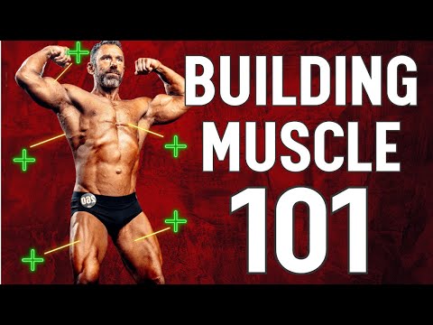 Muscle Building Essentials: What You ACTUALLY Need