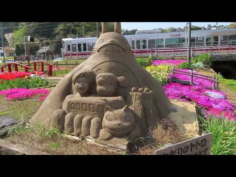 JR七尾線千路駅の電車とトトロと芝桜✨